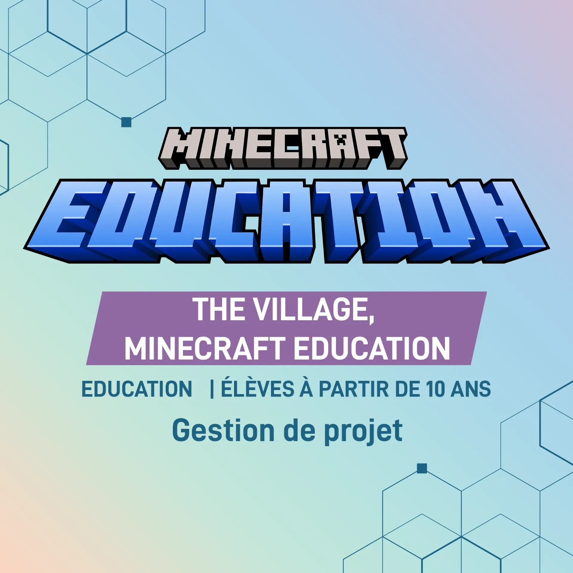 THE VILLAGE: Project management